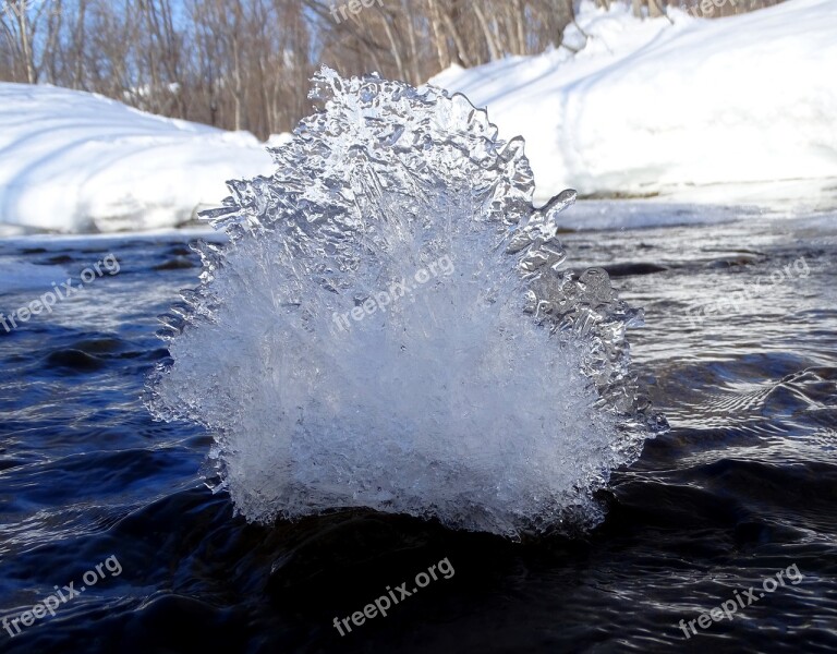 River Forest Winter Frost Cold