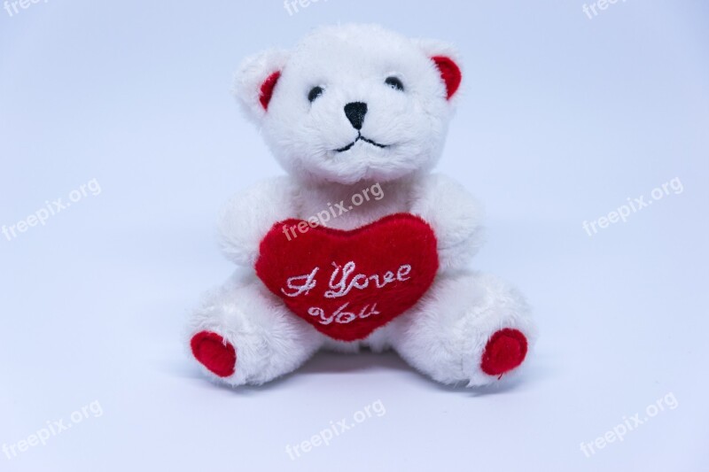 Bear White Velentinstag Toys Cute