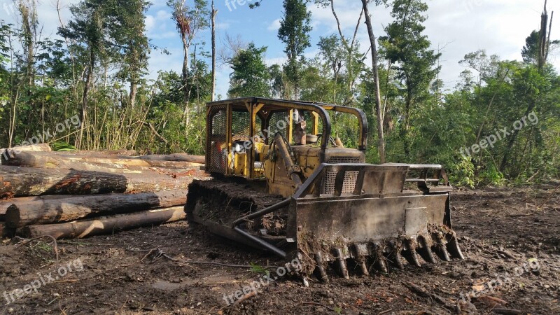 Wood Soil Industry Machine Tree