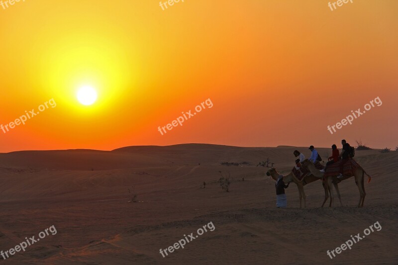 Sunset Dawn Desert Camel Ride Ride