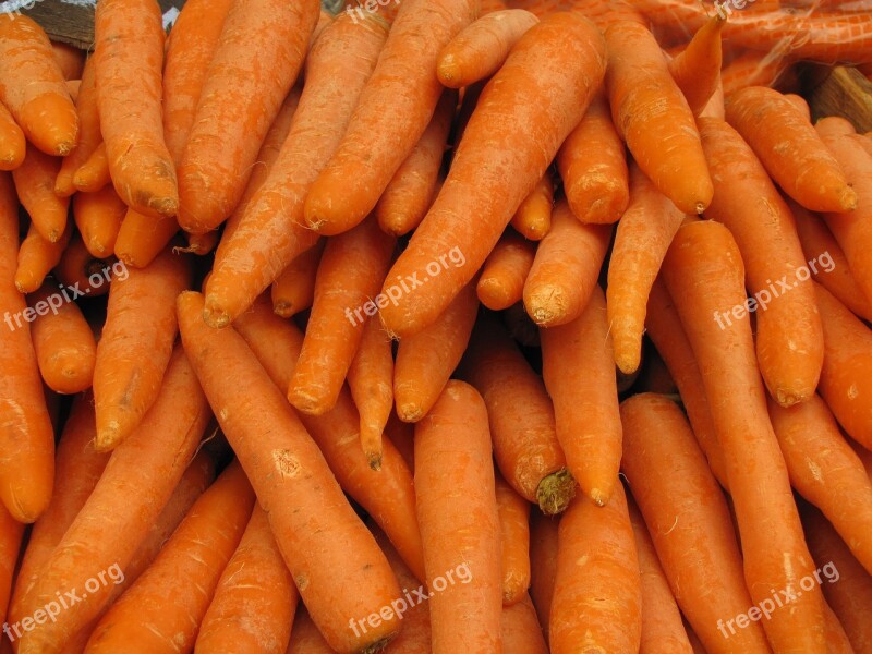 Root Food Vegetable Carrot Grow