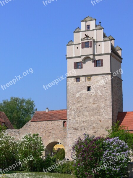 Dinosaur The Nördlinger Gate Bavaria Romantic Road Architecture