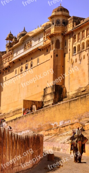 Amber Fort Fort Amer Jaipur Elephant