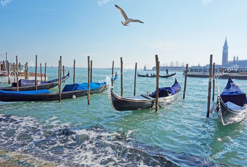 Venetia Italy Gondolas Tourists Birds