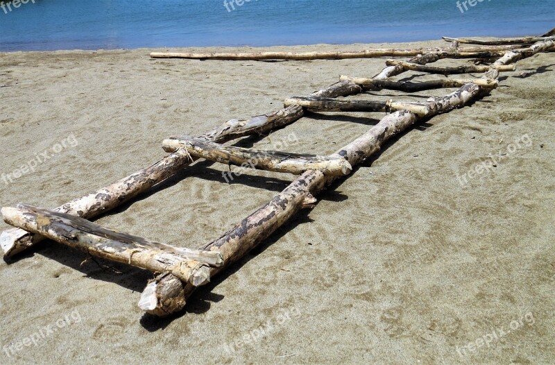 Boat Rack Ladder Tree Wood Beach