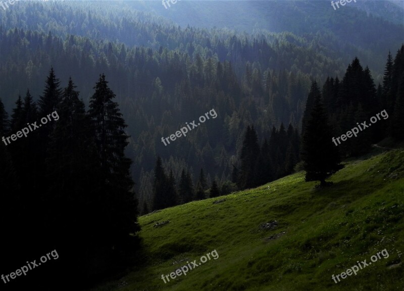 Mountain Forest Prato Free Photos