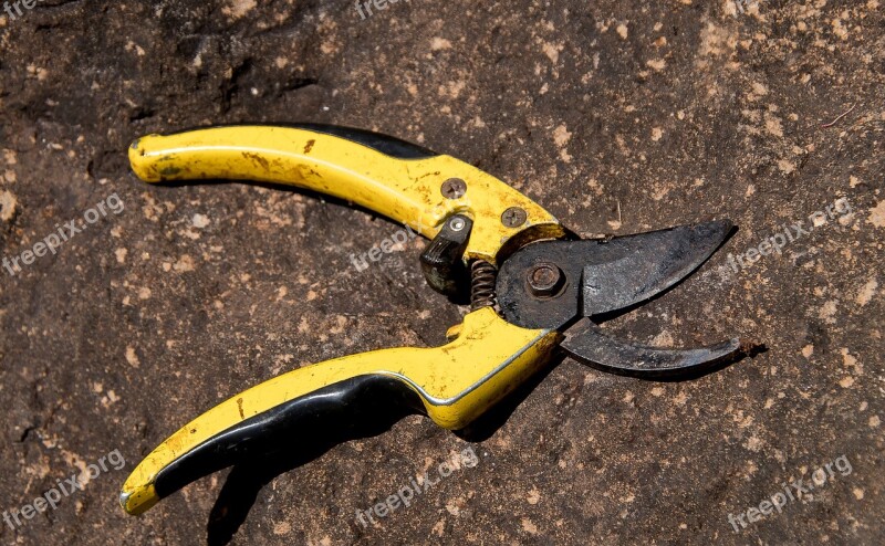 Secateurs Tool Pruning Cutting Garden