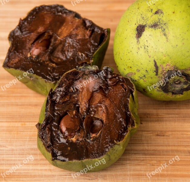 Fruit Sweet Black Sapote Chocolate Pudding Fruit Diospyros Nigra