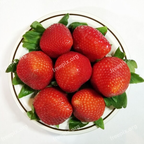 Fruit Fragaria Food Berry Healthy