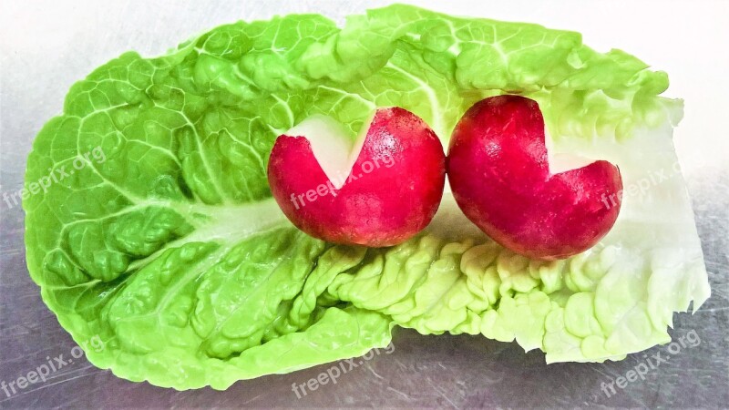 Salad Radishes Raw Food Vegetables Green Salad Leaf