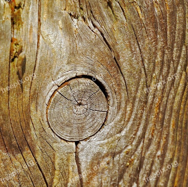 Knothole Wood Pile Grain Square Wood Pasture Fence