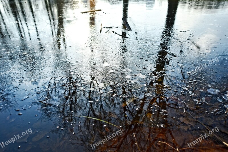 Ice Frozen Pond Frost Winter