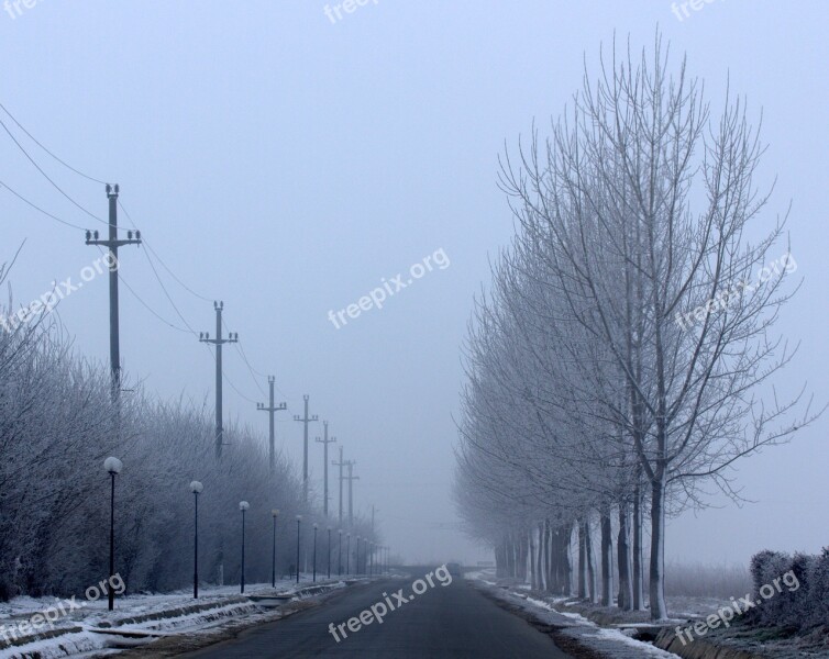 Street Winter Symmetry Trees Poles