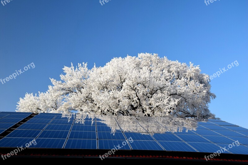 Sky Nature Schönwetter Tree Photovoltaic