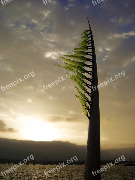 Sunset Tree Landscape Sky Nature