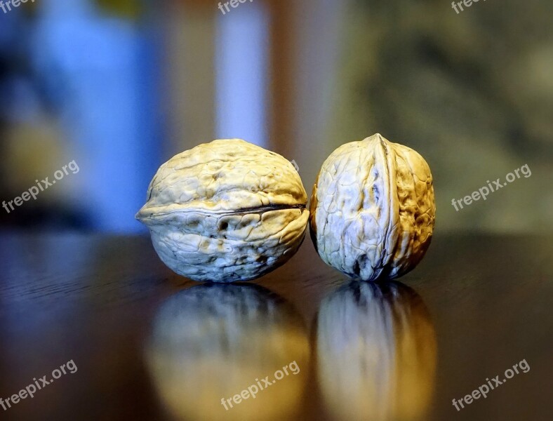 Nuts Dried Fruits Nature Food Plant