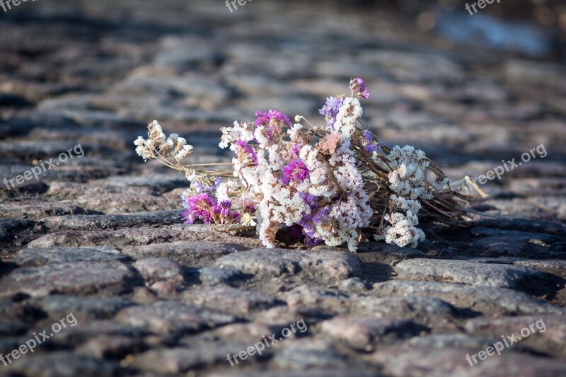 Nature Outdoors Macadam Bouquet Stone