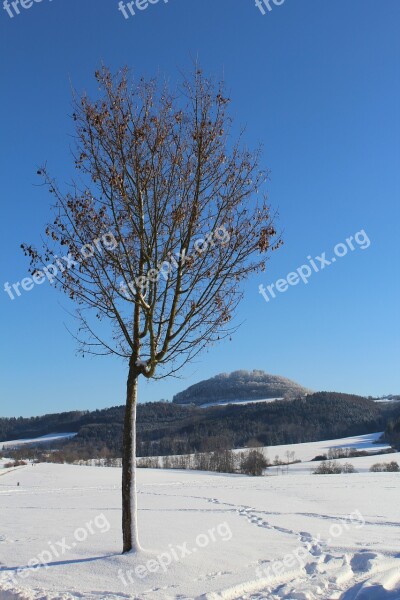 Winter Snow Tree Nature Cold