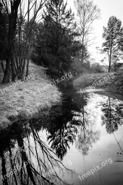 Tree Nature Landscape Waters Wood