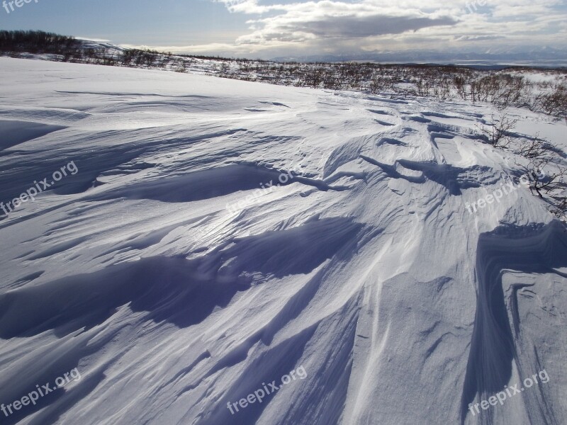 Winter Snow Cold Leann Wind