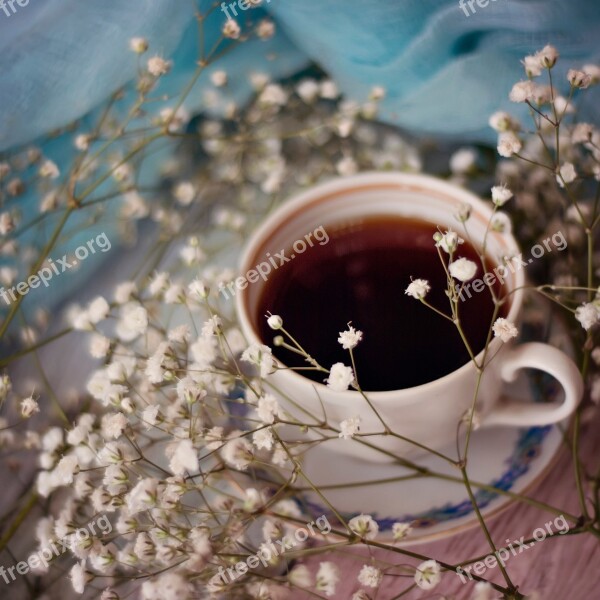 Drink Cup Hot Coffee Gypsophila