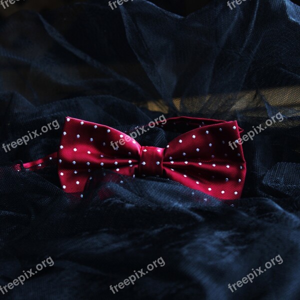 Clothing Addition Bow Tie Women's Bow Tie Fashion