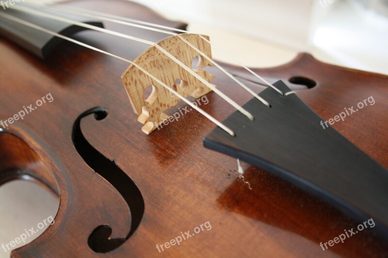 Stringed Instrument Violin Wood Instrument Viola