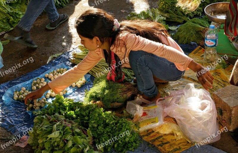 Girl Lady Selling Home Produced Vegetables