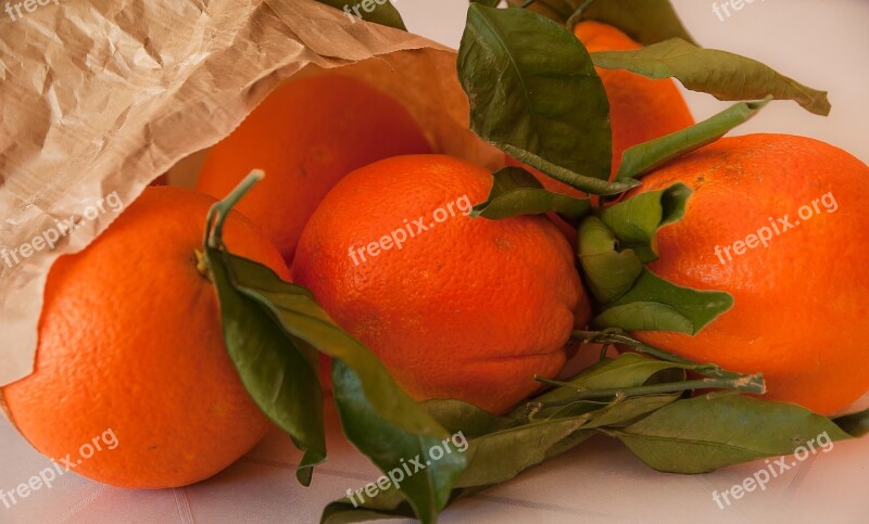 Fruit Oranges Citrus Orange Tree Free Photos