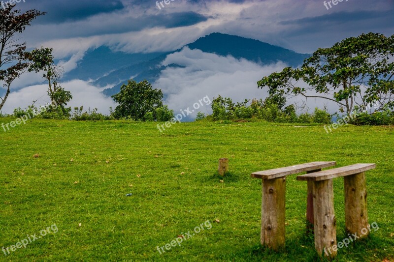 Grass Landscape Tree Nature Hayfield