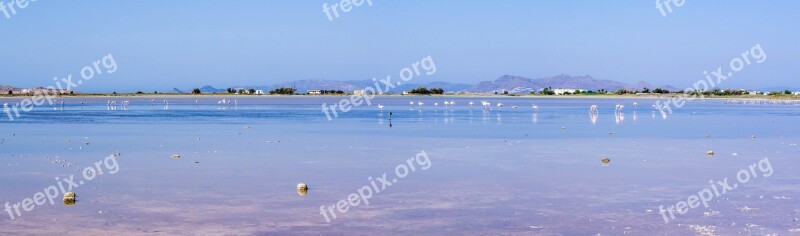 Water Nature Sea Lake Landscape