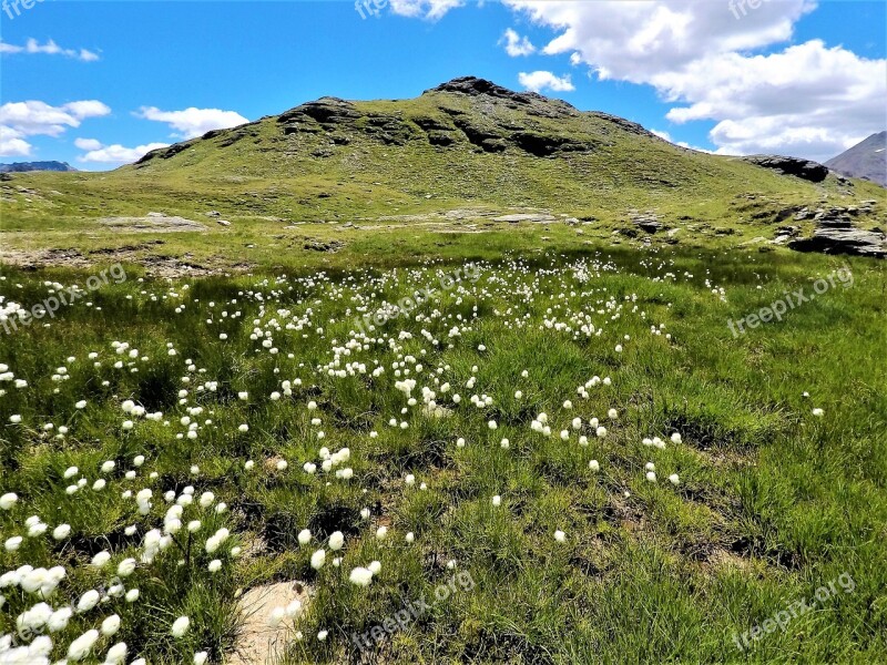 Nature Landscape Mountain Grass Panorama