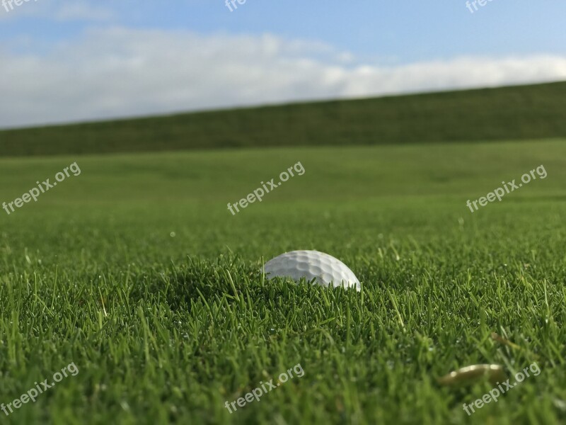 Grass Nature Meadow Summer Landscape