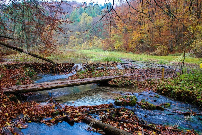 Nature Autumn Tree Monolithic Part Of The Waters Landscape