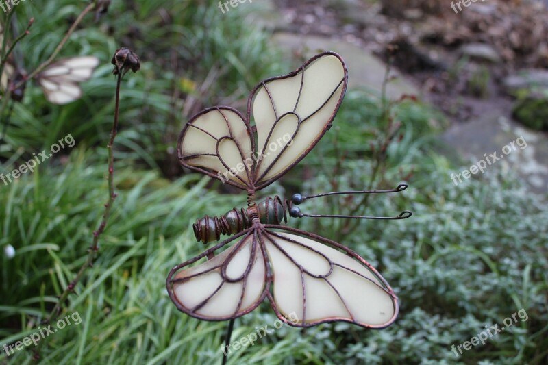 Nature Insect Butterfly Close Up Gartendeko