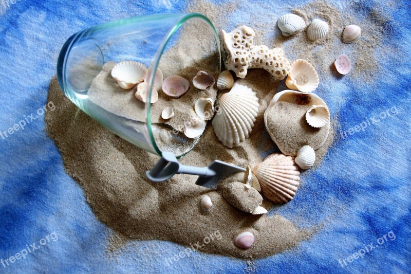 Memory Desire Dream Summer Shells