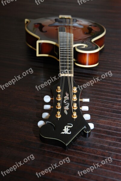 Bluegrass Mandolin Mandolin Instrument Sound Music