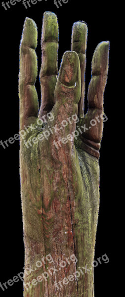 Hand Finger Wood Hand Sculpture Art