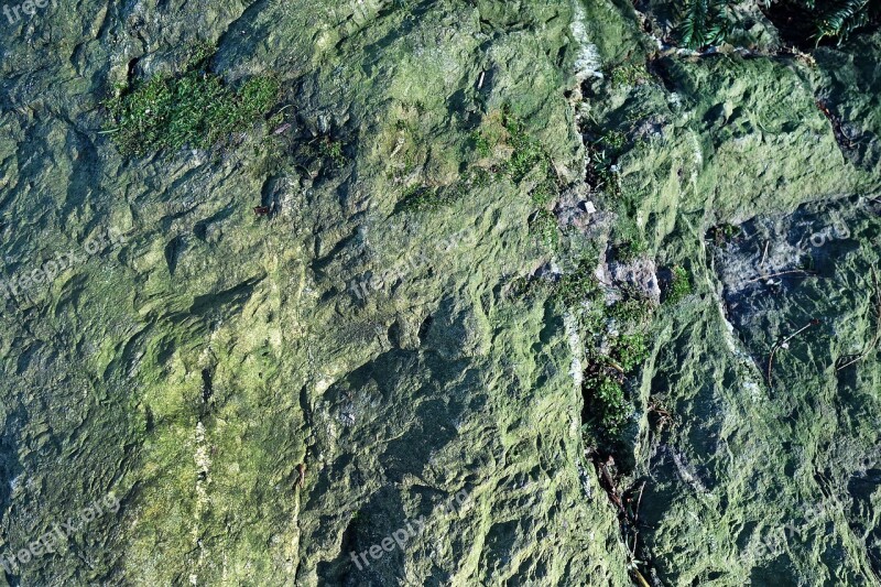 Rock Stone Rock Surface Rough Lichen