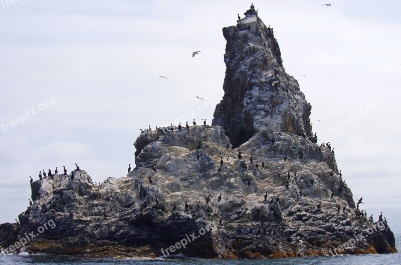 The Pacific Ocean Sea Rocks Wave Surf