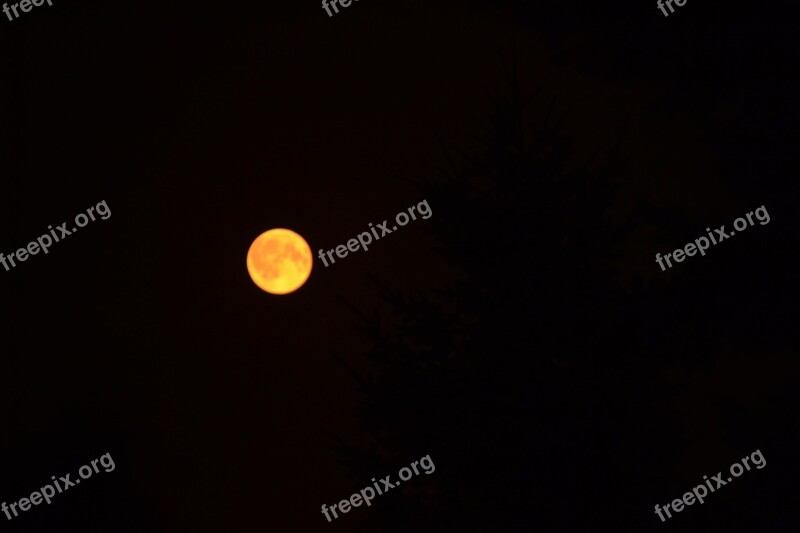 Moon Astronomy Eclipse Dark Sky