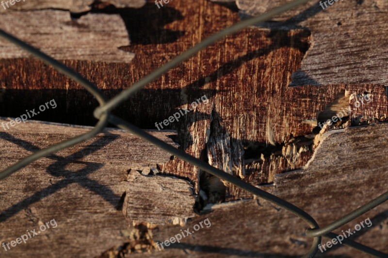 Nature Wood Outdoors Dry Tree