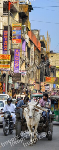 Street Life Street Old Delhi City