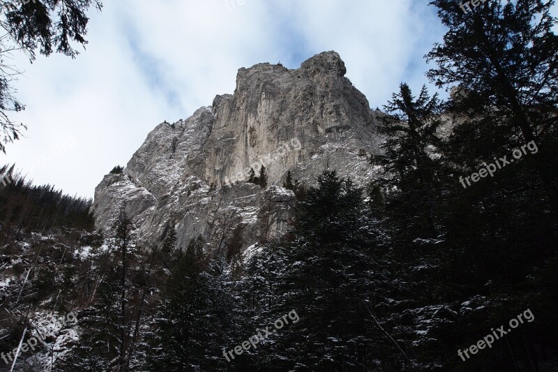 Nature Panoramic Tree No One Mountain