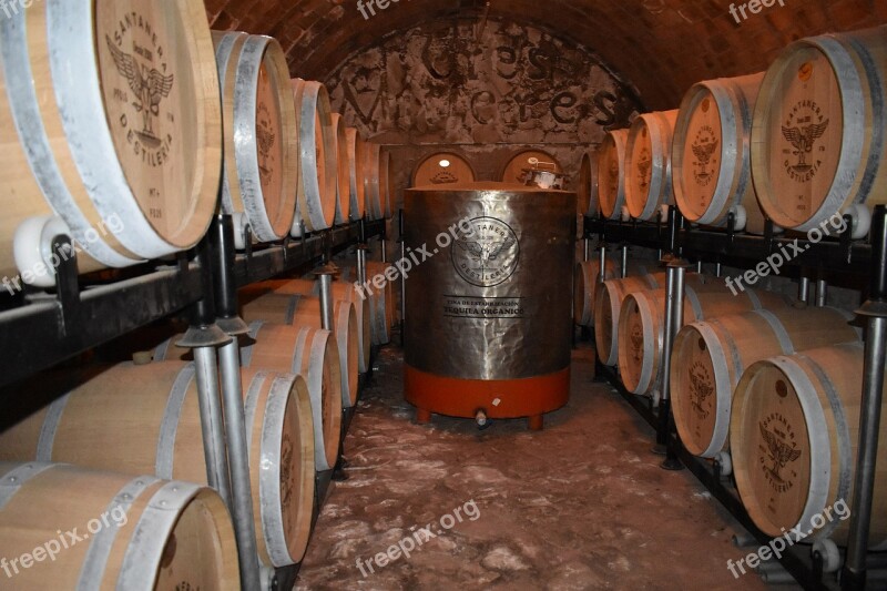 Barrel Basement Barrels Of Tequila Process Of Tequila Mexico