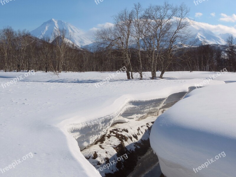 Winter Snow Snowdrifts Creek Forest