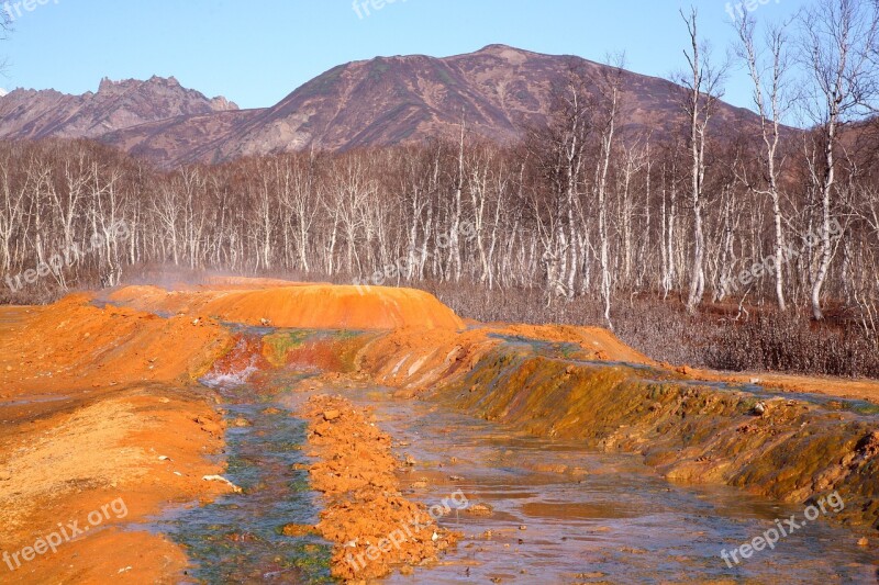 Hot Spring Forest Mountains Boiling Water Silence