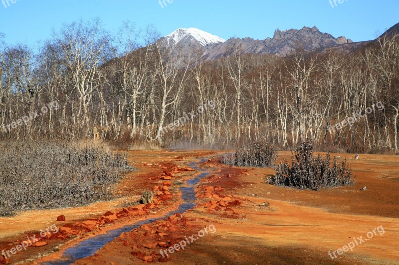 Hot Spring Forest Mountains Boiling Water Silence