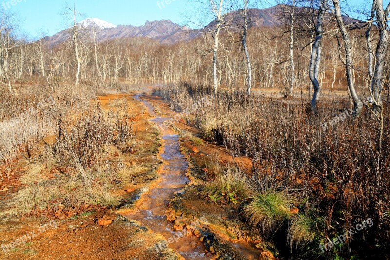 Hot Spring Forest Mountains Boiling Water Silence