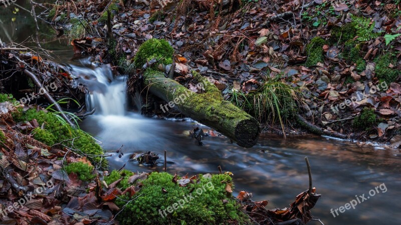 Nature River Waterfall Autumn Leaf